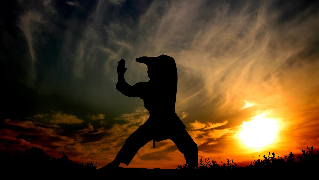 sunset, sport, fight, karate, coaching, competition, silhouette, people, the activity, young, hobbies, athletic, nature, karate, karate, karate, karate, karate