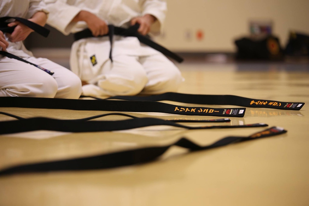 black belt, karate, traditional, passage, karate, karate, karate, karate, karate